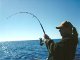 Guide de pêche en mer : action de pêche - requin